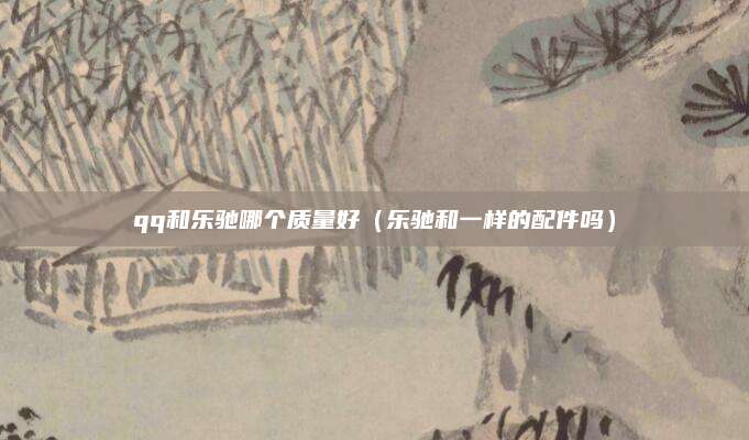 qq和乐驰哪个质量好(乐驰和一样的配件吗)