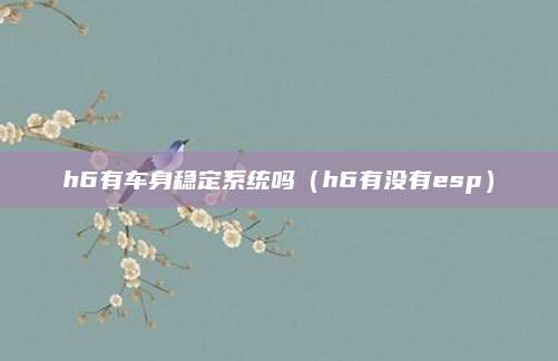 h6有车身稳定系统吗(h6有没有esp)