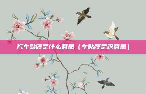 汽车贴膜是什么意思(车贴膜是啥意思)