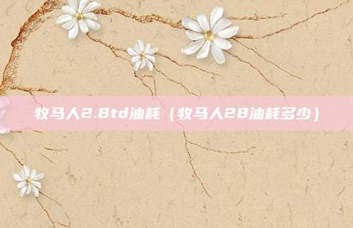 牧马人2.8td油耗(牧马人28油耗多少)