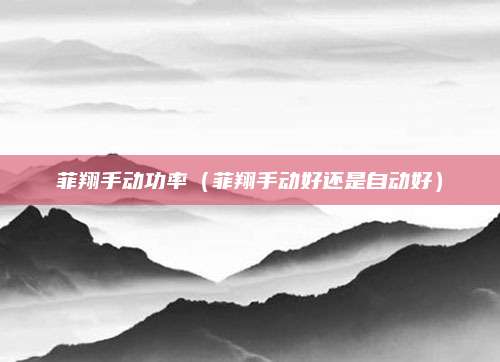 菲翔手动功率(菲翔手动好还是自动好)