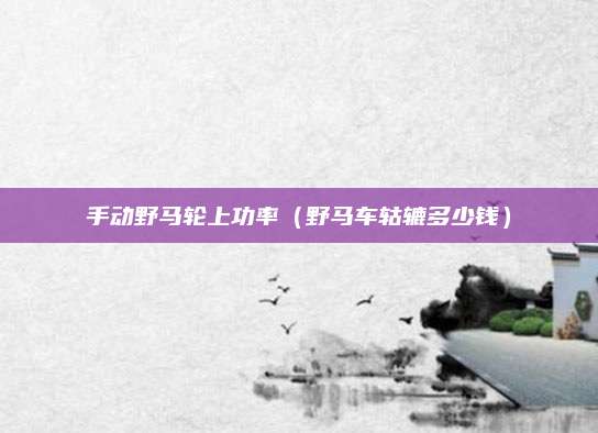 手动野马轮上功率(野马车轱辘多少钱)