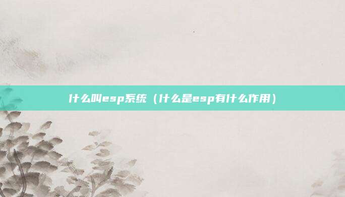 什么叫esp系统(什么是esp有什么作用)