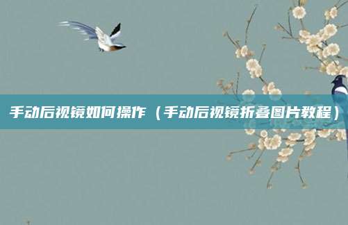 手动后视镜如何操作(手动后视镜折叠图片教程)