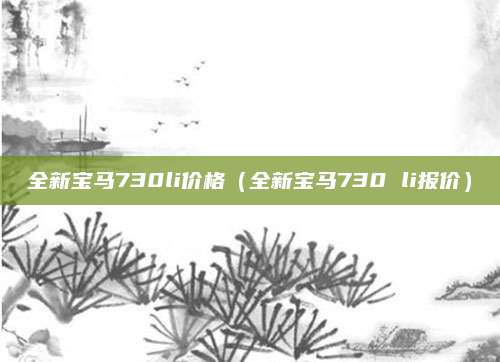 全新宝马730li价格(全新宝马730 li报价)