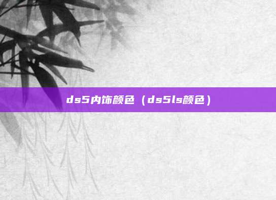 ds5内饰颜色(ds5ls颜色)