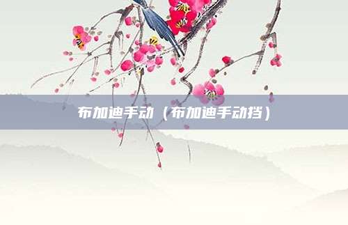 布加迪手动(布加迪手动挡)