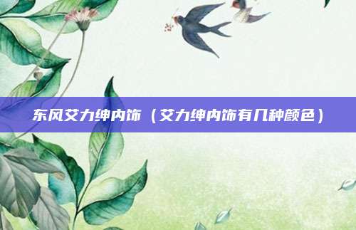 东风艾力绅内饰(艾力绅内饰有几种颜色)