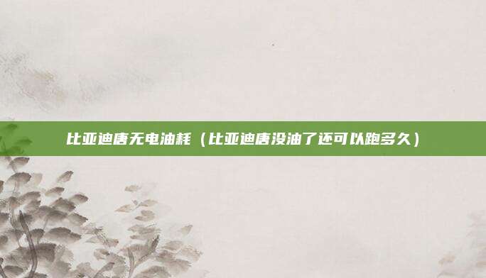 比亚迪唐无电油耗(比亚迪唐没油了还可以跑多久)