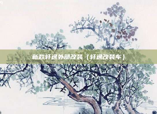新款轩逸外部改装(轩逸改装车)