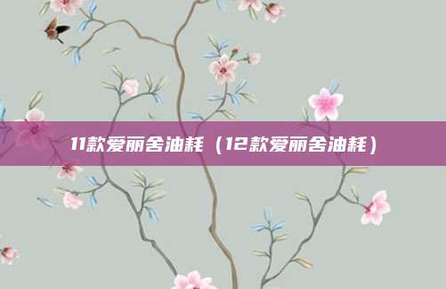 11款爱丽舍油耗(12款爱丽舍油耗)