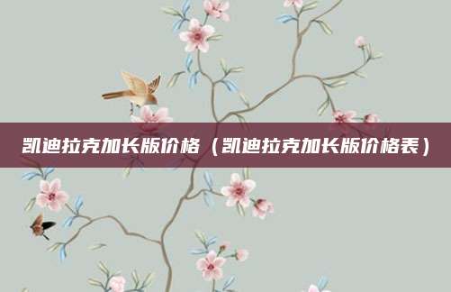 凯迪拉克加长版价格(凯迪拉克加长版价格表)