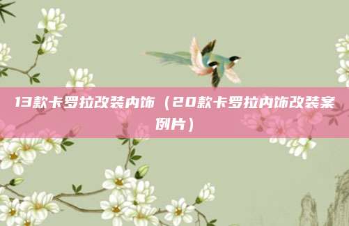 13款卡罗拉改装内饰（20款卡罗拉内饰改装案例片）