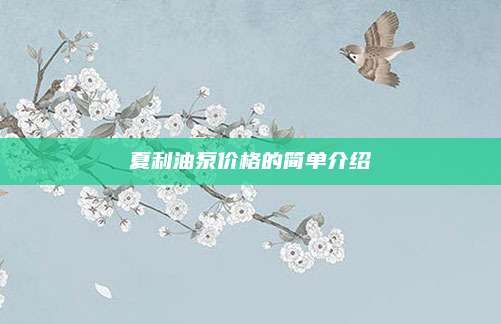 夏利油泵价格的简单介绍