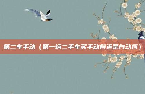 第二车手动(第一辆二手车买手动挡还是自动挡)