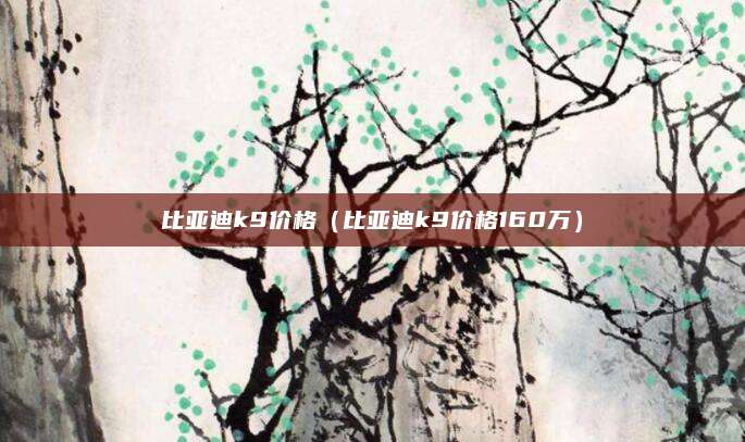比亚迪k9价格(比亚迪k9价格160万)