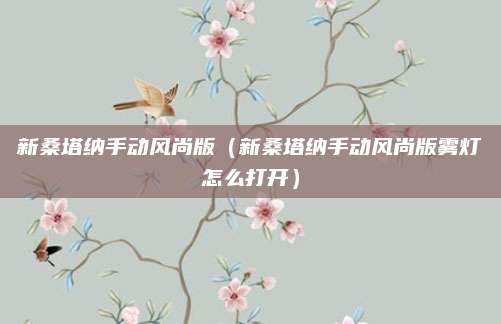 新桑塔纳手动风尚版(新桑塔纳手动风尚版雾灯怎么打开)