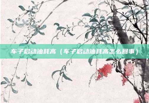 车子启动油耗高(车子启动油耗高怎么回事)