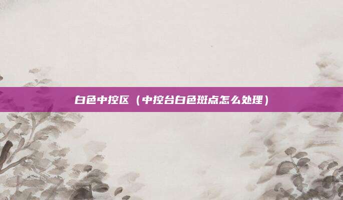 白色中控区(中控台白色斑点怎么处理)