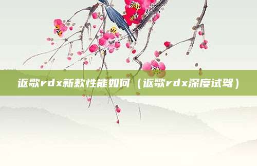讴歌rdx新款性能如何(讴歌rdx深度试驾)