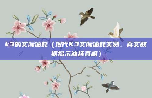 k3的实际油耗(现代K3实际油耗实测,真实数据揭示油耗真相)