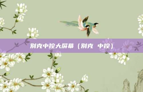 别克中控大屏幕(别克 中控)