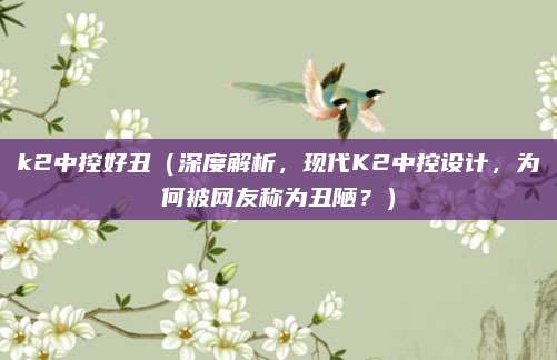 k2中控好丑(深度解析,现代K2中控设计,为何被网友称为丑陋?)