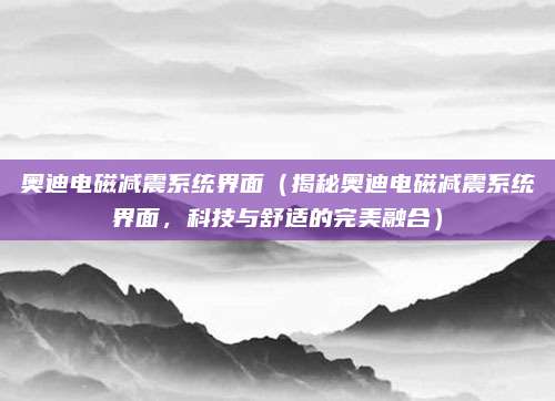 奥迪电磁减震系统界面(揭秘奥迪电磁减震系统界面,科技与舒适的完美融合)