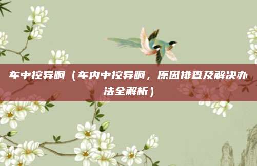 车中控异响(车内中控异响,原因排查及解决办法全解析)
