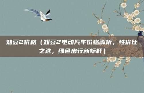 知豆2价格(知豆2电动汽车价格解析,性价比之选,绿色出行新标杆)