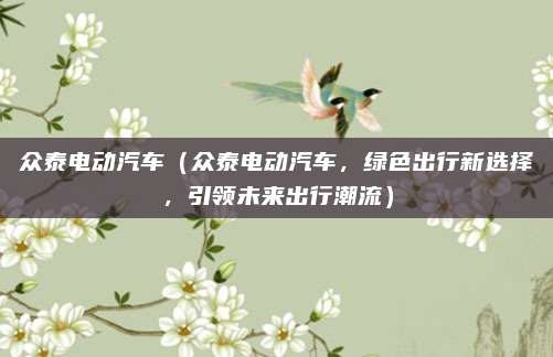 众泰电动汽车(众泰电动汽车,绿色出行新选择,引领未来出行潮流)