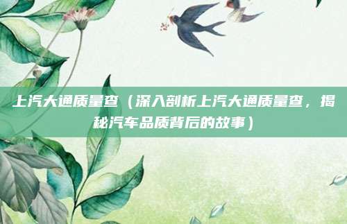 上汽大通质量查(深入剖析上汽大通质量查,揭秘汽车品质背后的故事)