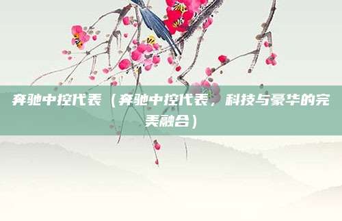 奔驰中控代表(奔驰中控代表,科技与豪华的完美融合)