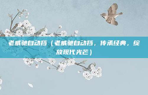 老威驰自动挡（老威驰自动挡，传承经典，绽放现代光芒）