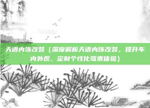 天语内饰改装(深度解析天语内饰改装,提升车内外观,定制个性化驾乘体验)