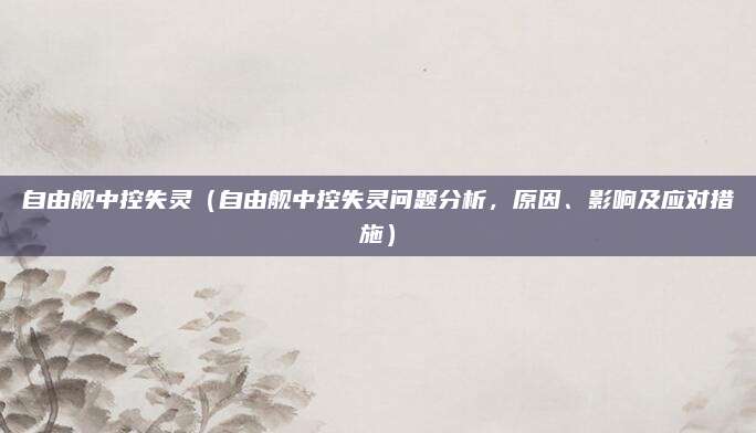 自由舰中控失灵(自由舰中控失灵问题分析,原因、影响及应对措施)