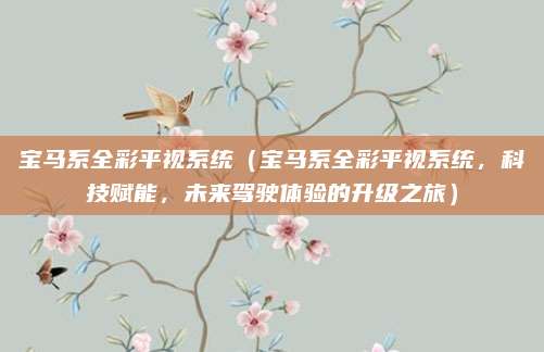 宝马系全彩平视系统(宝马系全彩平视系统,科技赋能,未来驾驶体验的升级之旅)