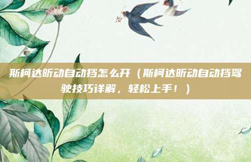 斯柯达昕动自动挡怎么开(斯柯达昕动自动挡驾驶技巧详解,轻松上手!)