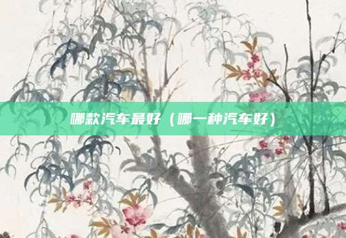 哪款汽车最好(哪一种汽车好)
