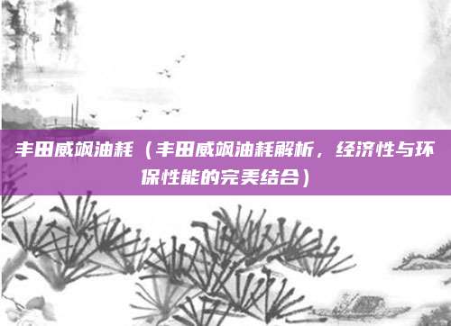 丰田威飒油耗（丰田威飒油耗解析，经济性与环保性能的完美结合）