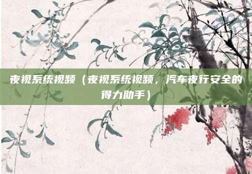 夜视系统视频（夜视系统视频，汽车夜行安全的得力助手）