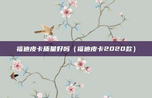 福迪皮卡质量好吗(福迪皮卡2020款)