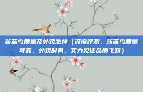 新蓝鸟质量及外观怎样(深度评测,新蓝鸟质量可靠,外观时尚,实力见证品质飞跃)