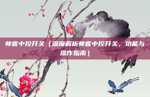 帅客中控开关(深度解析帅客中控开关,功能与操作指南)