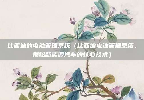 比亚迪的电池管理系统（比亚迪电池管理系统，揭秘新能源汽车的核心技术）