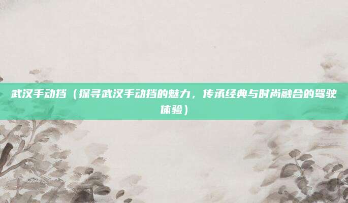 武汉手动挡（探寻武汉手动挡的魅力，传承经典与时尚融合的驾驶体验）