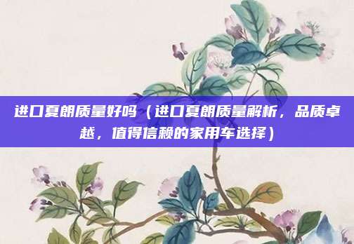 进口夏朗质量好吗（进口夏朗质量解析，品质卓越，值得信赖的家用车选择）