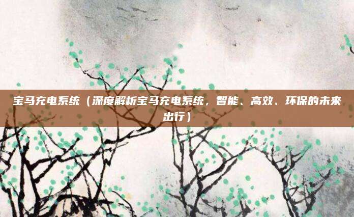 宝马充电系统（深度解析宝马充电系统，智能、高效、环保的未来出行）
