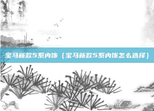 宝马新款5系内饰(宝马新款5系内饰怎么选择)