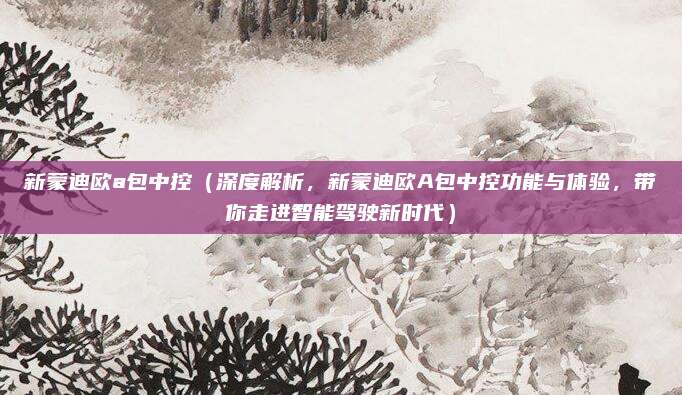 新蒙迪欧a包中控(深度解析,新蒙迪欧A包中控功能与体验,带你走进智能驾驶新时代)
